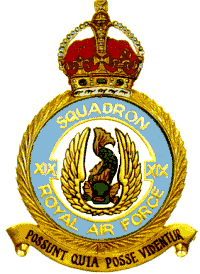 19 Sqn Badge